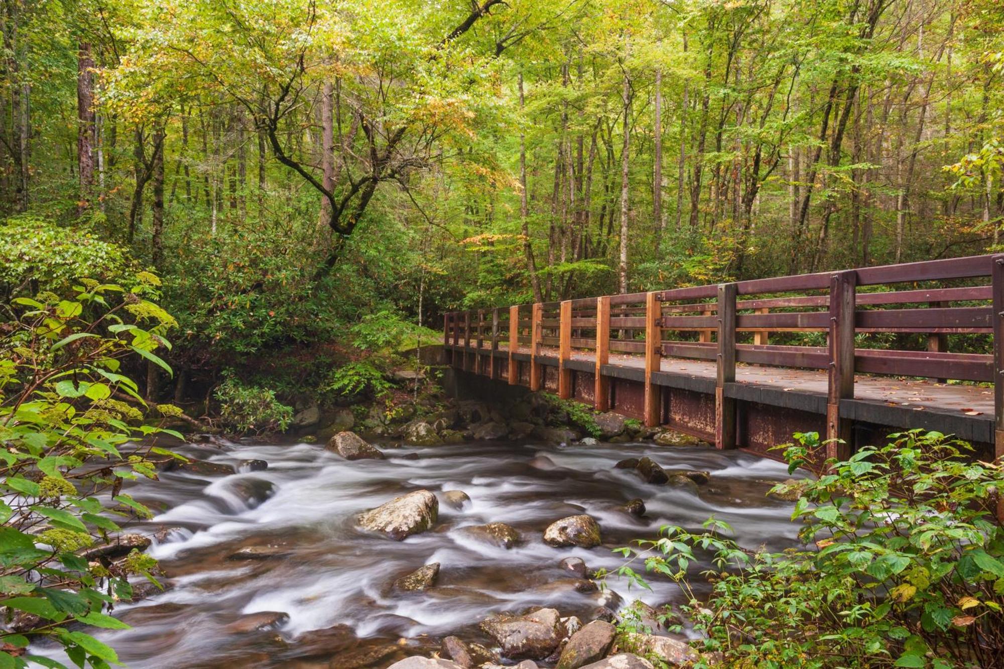 The Mason Jar, Hot Tub, Wifi, 1089 Free Tickets Each Paid Day, Dollywood And More! Pigeon Forge Buitenkant foto